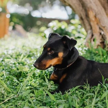 Apartament Relax A 3 *